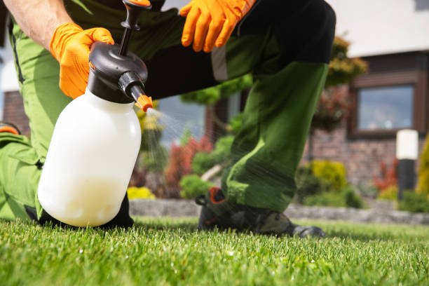 Best Best Pest Control Companies  in Port Clinton, OH