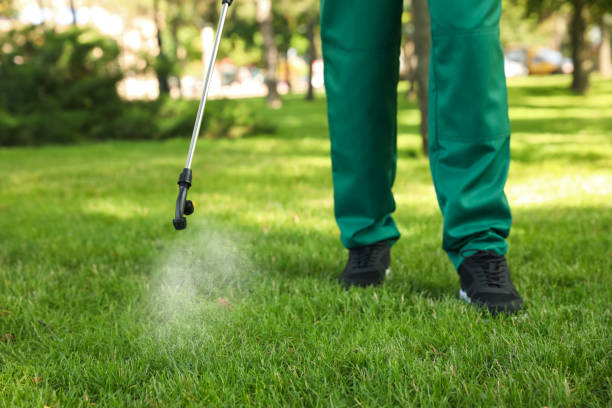 Best Best Pest Control Companies  in Port Clinton, OH