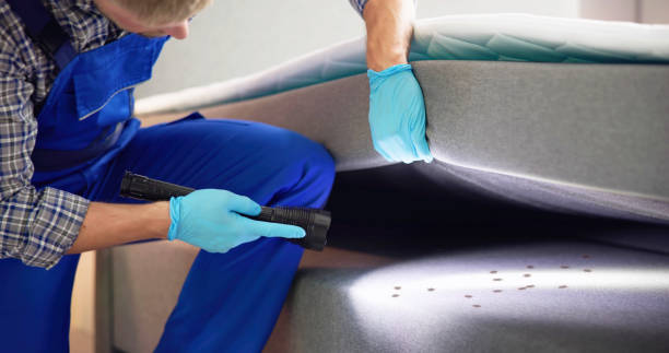 Best Flea Control Services  in Port Clinton, OH