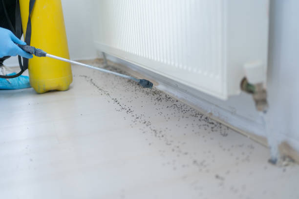 Reliable Port Clinton, OH Pest Control Solutions