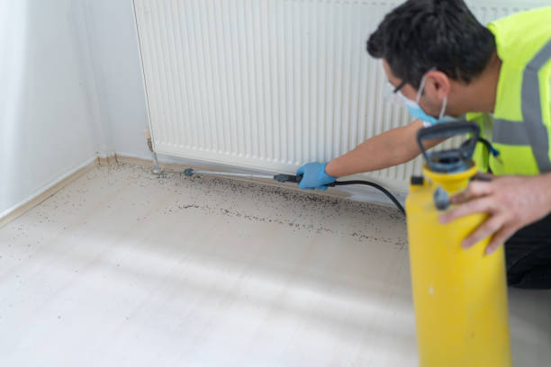 Best Rat Extermination Near Me  in Port Clinton, OH