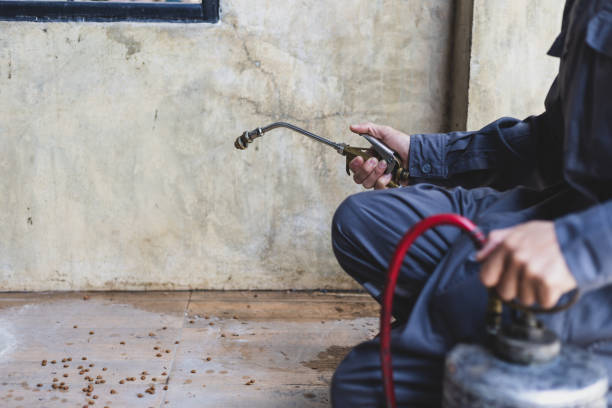 Best Residential Pest Control  in Port Clinton, OH
