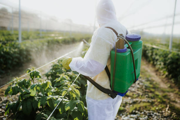 Best Commercial Pest Control Services  in Port Clinton, OH